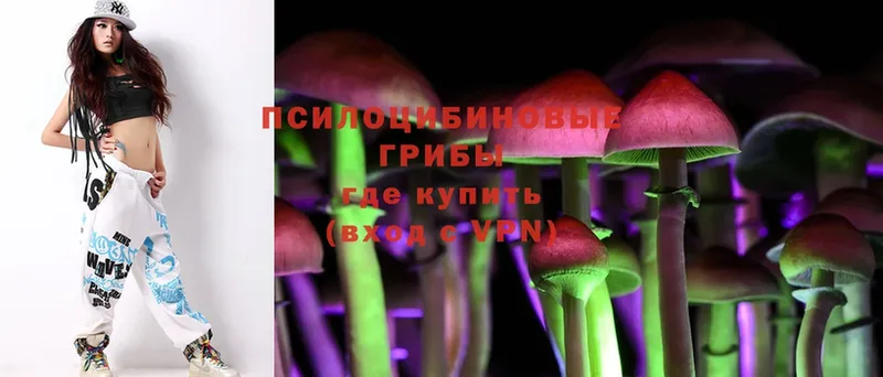 Псилоцибиновые грибы Cubensis  дарнет шоп  Краснокаменск 